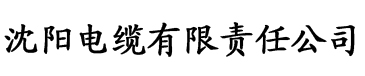 大污视频网站电缆厂logo